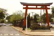 Torii-douradosMS